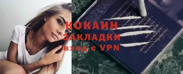 ПСИЛОЦИБИНОВЫЕ ГРИБЫ Бородино