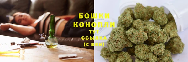 ПСИЛОЦИБИНОВЫЕ ГРИБЫ Бородино
