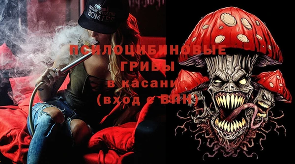 герыч Бронницы
