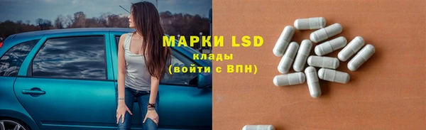 ПСИЛОЦИБИНОВЫЕ ГРИБЫ Бородино