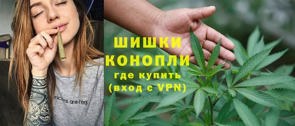 ПСИЛОЦИБИНОВЫЕ ГРИБЫ Бородино