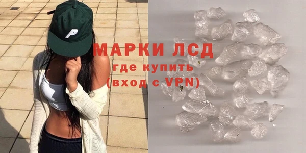 ПСИЛОЦИБИНОВЫЕ ГРИБЫ Бородино