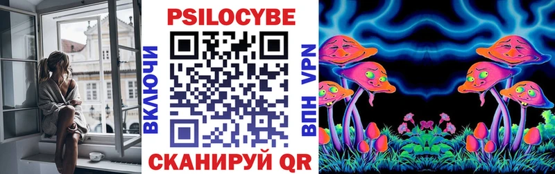 Псилоцибиновые грибы Psilocybine cubensis  дарк нет телеграм  Ленинградская 
